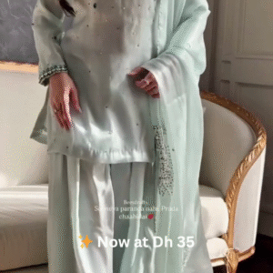 Pastel Mint Green Mirror Work Palazzo Suit Set – Now at Dh 35 Only